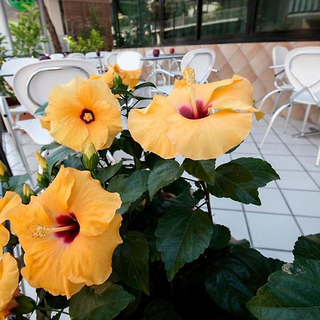 Hotel Scarlet Rimini Eksteriør billede
